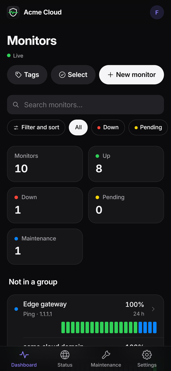The dashboard on a phone: monitor counters, filter chips and the monitor list, with a tab bar at the bottom.